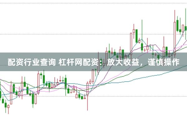 配资行业查询 杠杆网配资：放大收益，谨慎操作