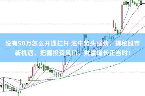 没有50万怎么开通杠杆 涨牛势头强劲，揭秘股市新机遇，把握投资风口，财富增长正当时！