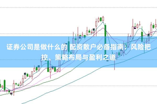 证券公司是做什么的 配资散户必备指南：风险把控、策略布局与盈利之道