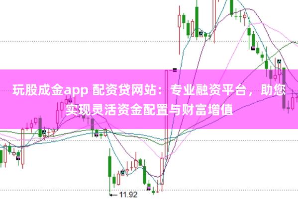 玩股成金app 配资贷网站：专业融资平台，助您实现灵活资金配置与财富增值