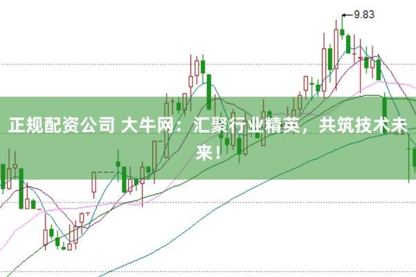 正规配资公司 大牛网：汇聚行业精英，共筑技术未来！