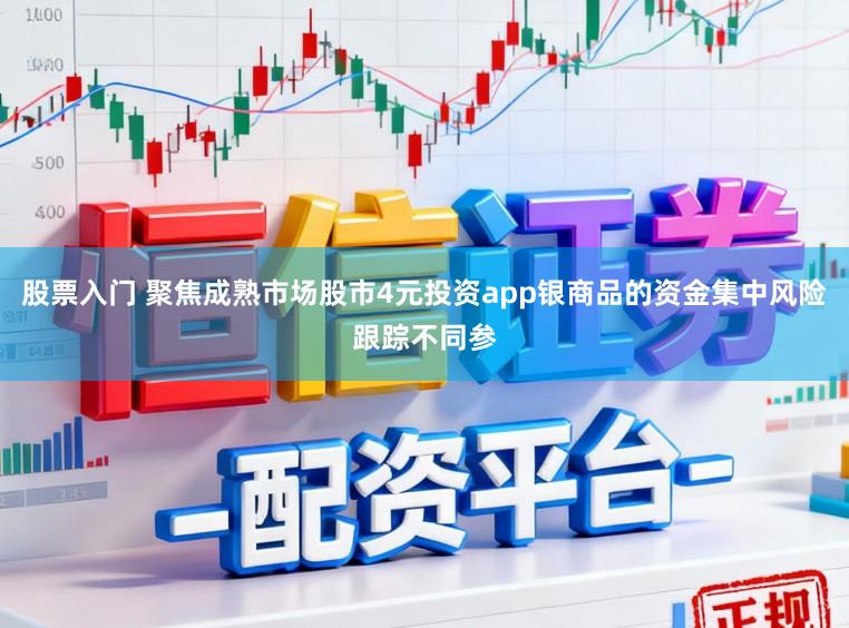 股票入门 聚焦成熟市场股市4元投资app银商品的资金集中风险跟踪不同参