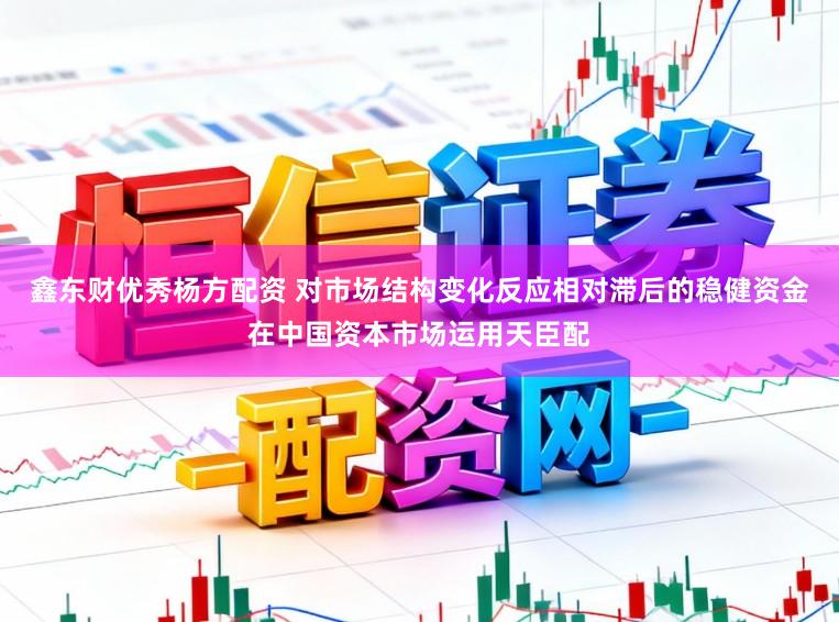 鑫东财优秀杨方配资 对市场结构变化反应相对滞后的稳健资金在中国资本市场运用天臣配