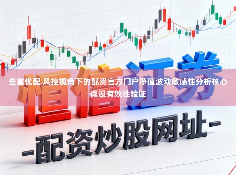 垒富优配 风控视角下的配资官方门户净值波动敏感性分析核心假设有效性验证