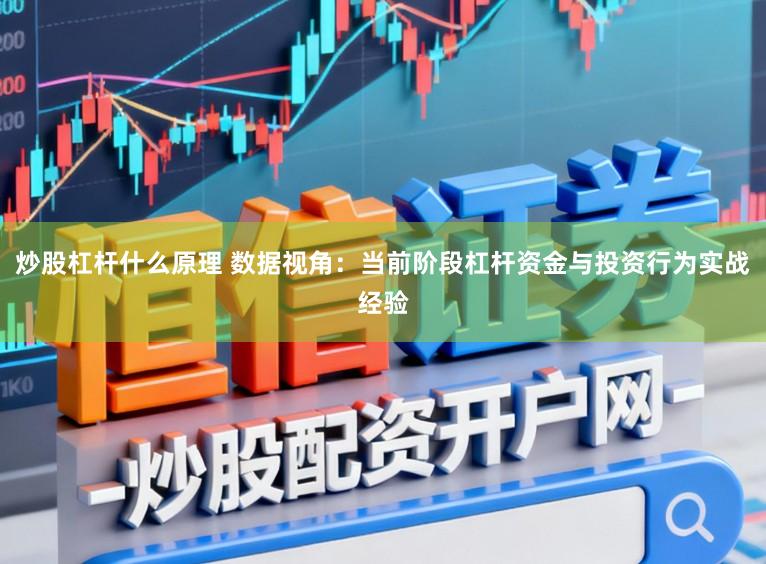 炒股杠杆什么原理 数据视角:当前阶段杠杆资金与投资行为实战经验