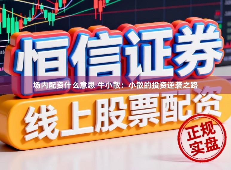 场内配资什么意思 牛小散：小散的投资逆袭之路